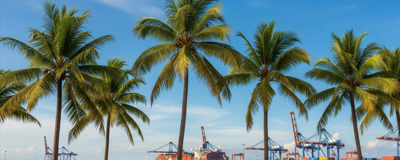 kelapa unggulan palu